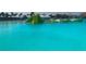 Waterfront lagoon with inflatable obstacle course at 32417 Welling Blade Loop, Wesley Chapel, FL 33545