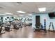 Well-equipped gym featuring treadmills, stationary bikes, free weights, and ample workout space at 345 Bayshore Blvd # 1807, Tampa, FL 33606