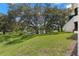 Large grassy backyard with a pond, shaded by mature trees, creating a private and serene outdoor space at 440 Lakeview Dr # 34, Palm Harbor, FL 34683