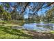 Picturesque pond surrounded by lush greenery, mature trees and community buildings in the background at 440 Lakeview Dr # 34, Palm Harbor, FL 34683