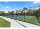 Community tennis court surrounded by trees and a black chain link fence at 440 Lakeview Dr # 34, Palm Harbor, FL 34683