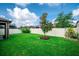 Wide backyard showing a lush lawn, bordered by a white fence, and a mature tree providing shade and character at 5003 Wabash Pl, Riverview, FL 33578