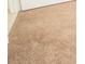 Close-up of neutral carpet and trim at 5003 Wabash Pl, Riverview, FL 33578