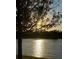 Picturesque view of a pond, sunlit water glistening through the trees at sunset at 5422 Sunset Falls Dr, Apollo Beach, FL 33572