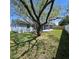Lush backyard featuring green grass, a mature tree, and a screened patio at 6008 Firefly Ln, Apollo Beach, FL 33572