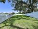 Expansive backyard featuring lush green grass, privacy fence, and mature trees at 6314 Gondola Dr, Riverview, FL 33578