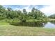 Scenic view of a tranquil pond surrounded by lush greenery and mature trees, offering a peaceful natural setting at 106 Cutlass Way, Oldsmar, FL 34677