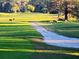 Scenic view of deer grazing on the lush green grass of a golf course, surrounded by trees at 12134 Tournament View Ave, New Port Richey, FL 34654