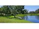 A spacious backyard featuring lush green grass and a scenic pond view in a tranquil, verdant setting at 16502 Windsor Park Dr, Lutz, FL 33549