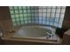 Bathroom with jetted garden tub and glass block window at 16502 Windsor Park Dr, Lutz, FL 33549