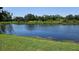 Scenic view of a tranquil pond with lush greenery, enhancing the property's natural beauty and offering a serene backdrop at 16502 Windsor Park Dr, Lutz, FL 33549