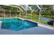 Serene screened-in pool overlooking a tranquil lake with lush greenery at 16502 Windsor Park Dr, Lutz, FL 33549
