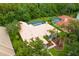 Aerial view of a residence showcasing lush landscaping and a private backyard pool at 17818 Arbor Greene Dr, Tampa, FL 33647