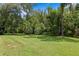 Lush green backyard with mature trees creating a private and serene outdoor space at 17818 Arbor Greene Dr, Tampa, FL 33647