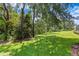 Lush green backyard, a peaceful escape with mature trees and manicured lawn at 17818 Arbor Greene Dr, Tampa, FL 33647