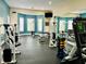 Well-equipped fitness center with modern machines and blue accent walls at 17942 Villa Creek Dr # 17942, Tampa, FL 33647