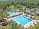 Aerial view of a community pool featuring a waterslide and lounge area, surrounded by palm trees at 27546 Stonecreek Way, Wesley Chapel, FL 33544