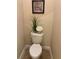 Toilet in bathroom with neutral walls and decorative flower arrangement at 27546 Stonecreek Way, Wesley Chapel, FL 33544