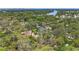 Scenic aerial view of the property surrounded by lush greenery and a distant lake at 327 Sunnyside Rd, Temple Terrace, FL 33617