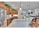 Well-equipped kitchen featuring granite countertops, stainless steel appliances, and decorative plants atop cabinets at 3411 Knoxville Pl, Plant City, FL 33566