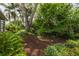 View of the lush landscaping featuring various trees, plants, and mulch in the backyard at 5262 25Th N Ave, St Petersburg, FL 33710