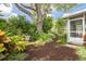 Beautifully landscaped yard featuring lush greenery, mature trees, and a well-maintained mulch bed at 5262 25Th N Ave, St Petersburg, FL 33710
