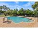 Inviting community pool with lounge area surrounded by lush landscaping at 701 S Madison Ave # 505, Clearwater, FL 33756