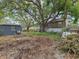 Backyard with overgrown landscaping, a partial exterior view of the home, and debris at 705 3Rd Ne Ave, Largo, FL 33770