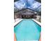 Gorgeous screened-in pool surrounded by blue tile and a patio offers a private and refreshing outdoor retreat at 807 E Chapman Rd, Lutz, FL 33549