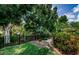 Beautiful backyard with green lawn, mature trees, and privacy fence creating a serene retreat at 1012 Tuscany Dr, Trinity, FL 34655