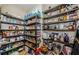 Walk-in pantry with abundant shelving for storage at 1012 Tuscany Dr, Trinity, FL 34655