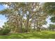 Picturesque scene of mature trees adorned with Spanish moss, creating a tranquil and scenic setting at 10193 Wallien Dr, Brooksville, FL 34601