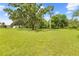 Spacious green yard with mature oak trees, sunny sky, and palm trees at 10193 Wallien Dr, Brooksville, FL 34601