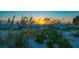 Beautiful sunset over the beach, with tall grasses in the foreground and vibrant colors in the sky at 1114 Mandalay Pt, Clearwater Beach, FL 33767