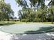 Community basketball court surrounded by trees and landscaping at 12918 Tar Flower Dr., Tampa, FL 33626