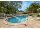 Community pool with lounge chairs and a clear blue shallow end at 1709 Castle Rock Rd, Tampa, FL 33612