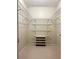 Walk-in closet featuring adjustable shelving and a carpeted floor at 214 Caryl Way, Oldsmar, FL 34677