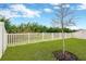 Grassy backyard featuring a newly planted tree and a white fence for privacy at 7017 Gomez Rocks Ct, Sun City Center, FL 33573