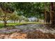 Picturesque park scene featuring a grand banyan tree overlooking the serene waterfront at 841 4Th N Ave # 21, St Petersburg, FL 33701