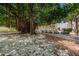 A large banyan tree provides shade near street parking, enhancing the park's natural beauty at 841 4Th N Ave # 21, St Petersburg, FL 33701