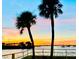 Enchanting waterfront view with two palm trees silhouetted against a vibrant sunset, overlooking boats in the water at 100 Bluff View Dr # 114C, Belleair Bluffs, FL 33770