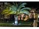 A beautifully landscaped property at night featuring mature palm trees, lighting, and a well-maintained lawn at 10880 Cory Lake Dr, Tampa, FL 33647