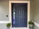 Inviting front door with decorative glass, modern hardware, and potted plants at 15421 Shoal Haven Pl, Ruskin, FL 33573