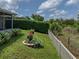 Green backyard featuring flowering planters, a fence line and view of trees in this well-maintained yard at 1701 Bonita Bluff Ct, Ruskin, FL 33570