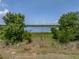 Scenic backyard view with a serene lake backdrop, framed by lush trees and vibrant greenery at 1701 Bonita Bluff Ct, Ruskin, FL 33570