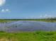 Beautiful lake view from property, showcasing a vast expanse of water and natural surroundings at 1701 Bonita Bluff Ct, Ruskin, FL 33570