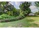 View of the green backyard showing the lawn and surrounding trees at 17631 Grove View Dr, Lutz, FL 33549