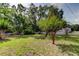Backyard features a grassy lawn surrounded by a classic white picket fence at 17631 Grove View Dr, Lutz, FL 33549