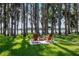 Backyard firepit and Adirondack chairs nestled under mature trees, perfect for entertaining at 19209 Crooked Ln, Lutz, FL 33548