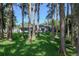 Spacious backyard featuring a screened-in lanai, mature trees, and lush green grass at 19209 Crooked Ln, Lutz, FL 33548